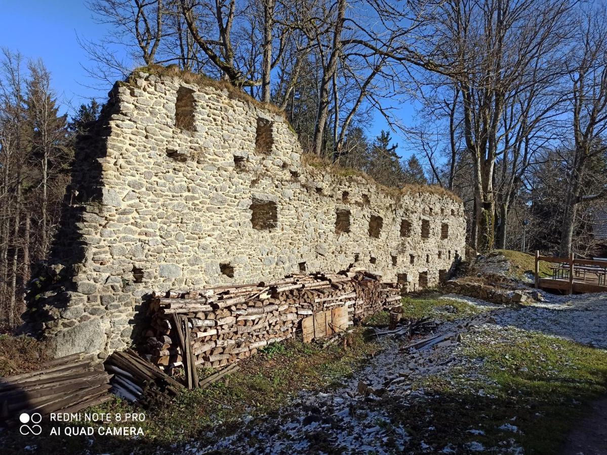 Apartmán u Vrbů Cerna v Posumavi Exterior foto