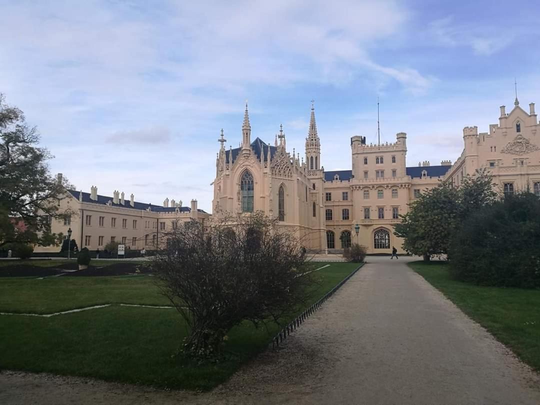 Apartmán u Vrbů Cerna v Posumavi Exterior foto